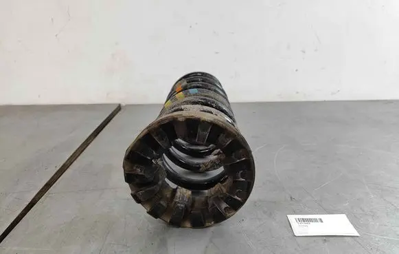 Jaguar XE Rear coil spring T4N3682