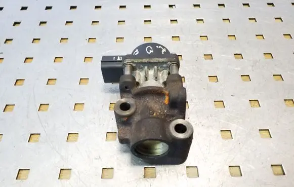 Suzuki Grand Vitara II EGR valve
