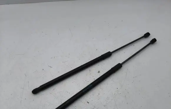 Tailgate/trunk strut/damper