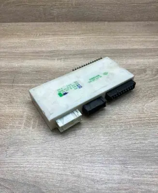 BMW 5 E39 Comfort/convenience module 6913519 5DK007047