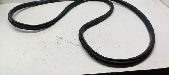 BMW X1 F48 F49 Front door rubber seal 7349628