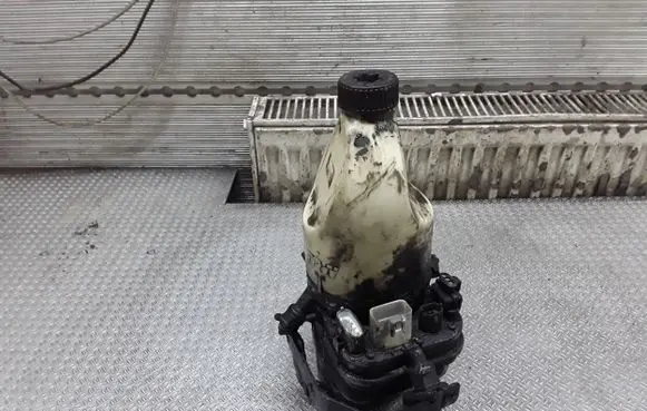 Electric power steering pump