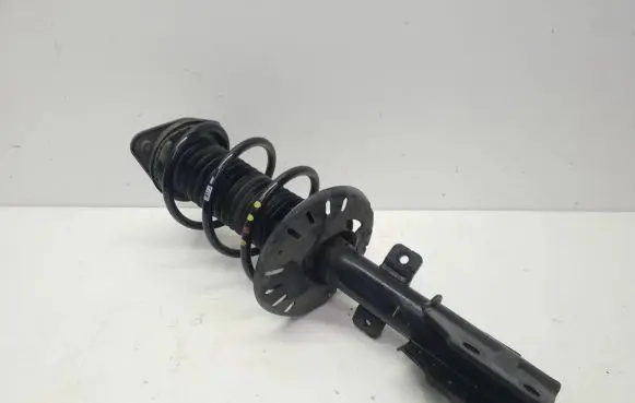 Opel Grandland X Front shock absorber/damper 9819718680