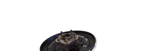 Lexus RX 330 - 350 - 400H Rear wheel hub R72R Y587