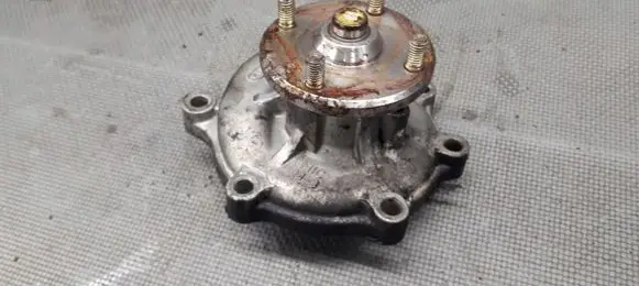 Hyundai Terracan Water pump