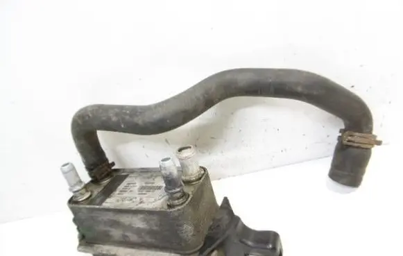 Land Rover Range Rover Sport L320 Engine oil radiator BH427869AB