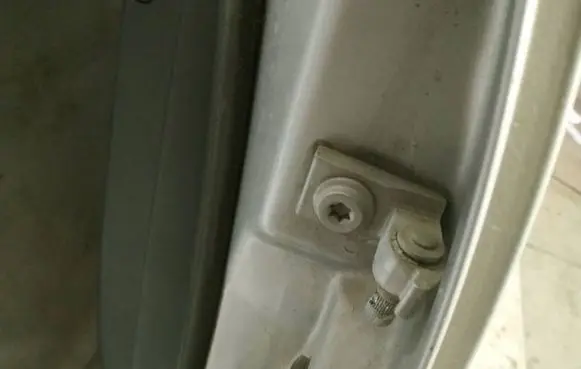 Rear door lower hinge
