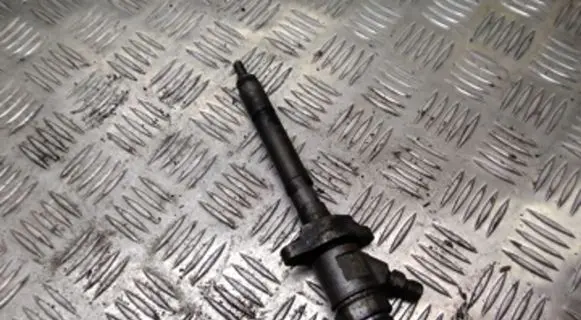 Citroen C4 I Picasso Fuel injector 0445110297 620026