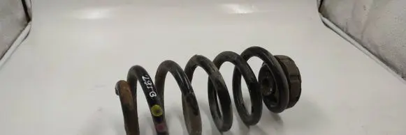Rear coil spring