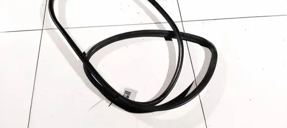 Infiniti QX50 (J50) Rubber seal rear door 