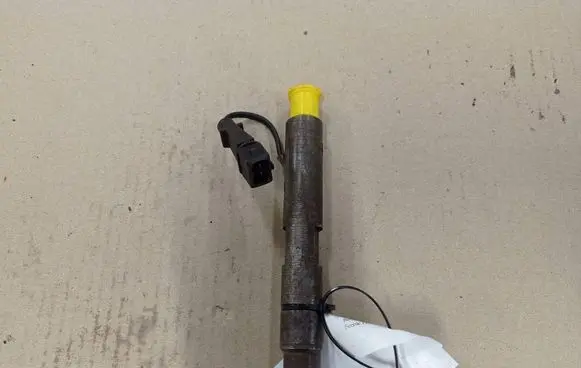 Renault Scenic I Fuel injector 7700875035 0432193754