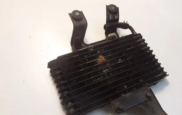 Mitsubishi Pajero Power steering radiator 1241003560