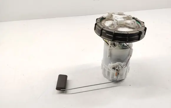 Renault Kangoo II In-tank fuel pump 