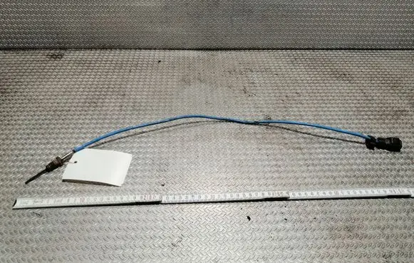 Exhaust gas temperature sensor