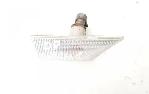 Front fender indicator light