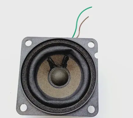 Front door speaker