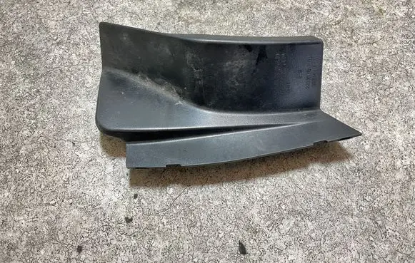 Rear/tail light trim molding