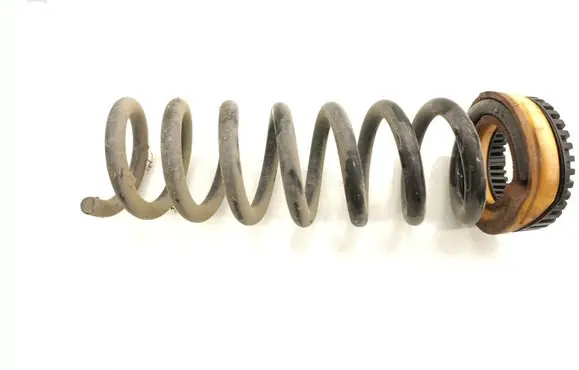 Rear coil spring