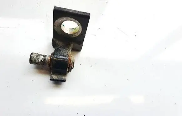 Skoda Yeti (5L) Rear door lower hinge