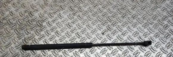Tailgate/trunk strut/damper