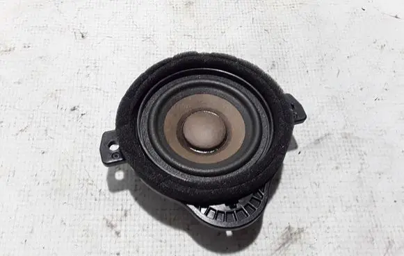 Front door high frequency speaker