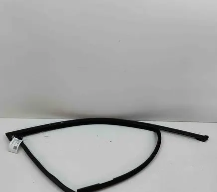 BMW iX3 G08 Front door glass trim molding 7393426