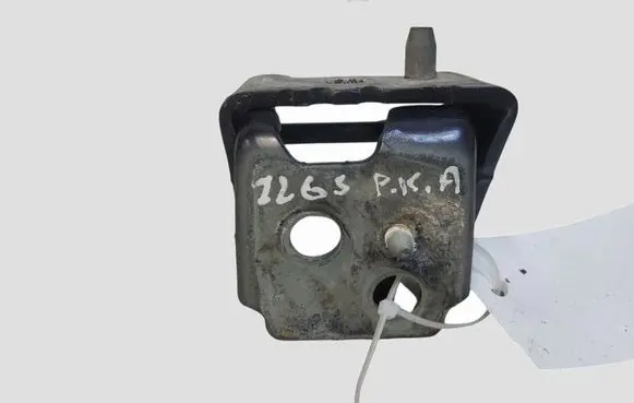 Citroen C5 Front door lower hinge