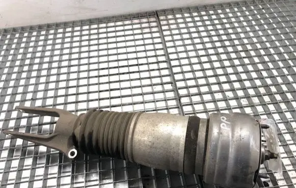 Porsche Panamera (970) Front shock absorber/damper 97034305215