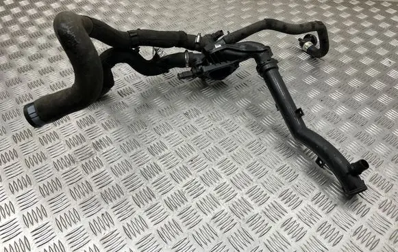 Peugeot 3008 I Thermostat 1828H0731
