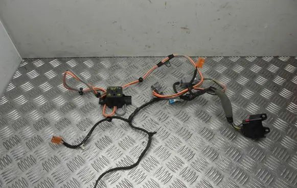 Ford Kuga II Other wiring loom CV6T14B079