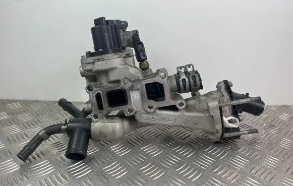 KIA Sorento EGR valve 284102F600