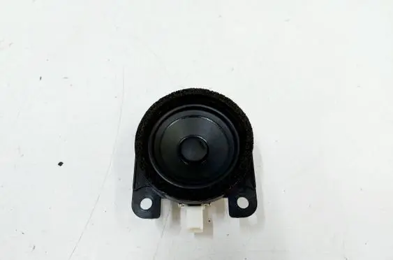 Rear door speaker