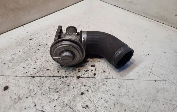 BMW 3 E46 EGR valve 72252300