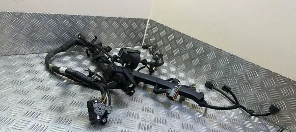 Engine installation wiring loom