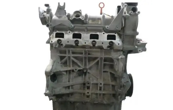 Volkswagen Golf V Engine BLF