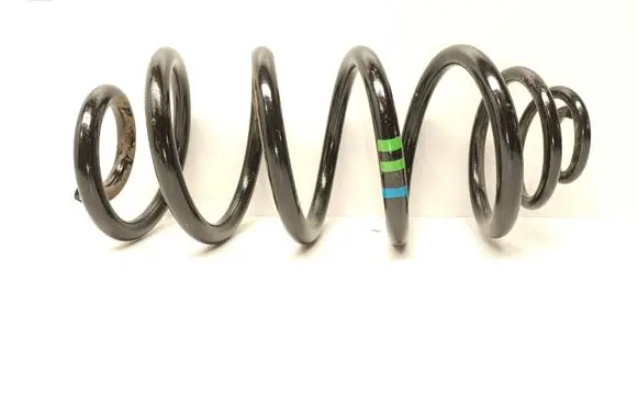 Rear coil spring
