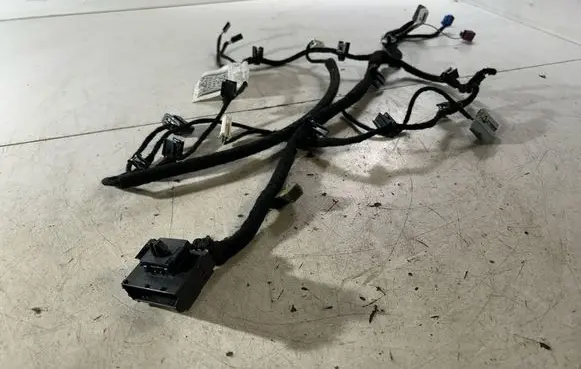 Maserati Ghibli Front door wiring loom 06700086120