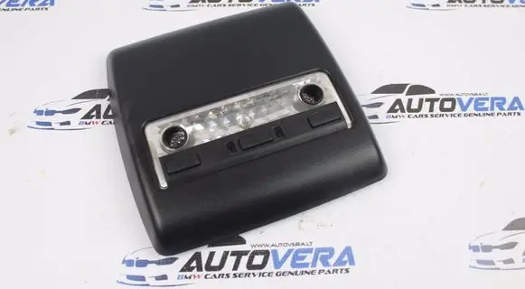BMW X5 E53 Front seat light 8258037
