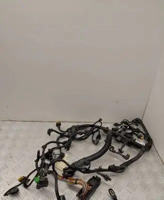 Engine installation wiring loom