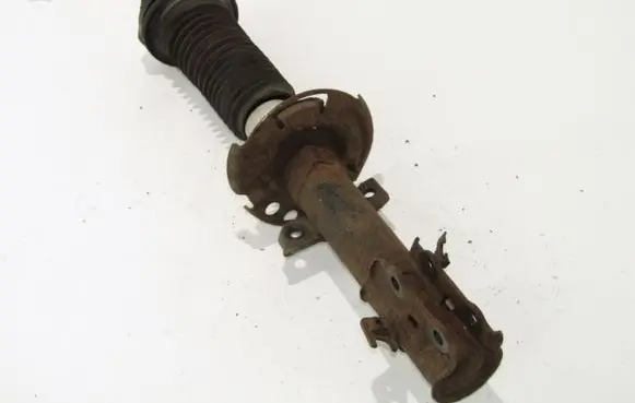Ford B-MAX Front shock absorber/damper