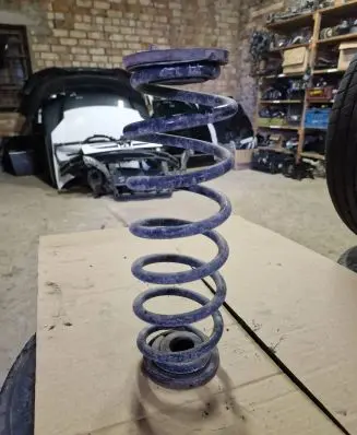 Volkswagen PASSAT B6 Rear coil spring