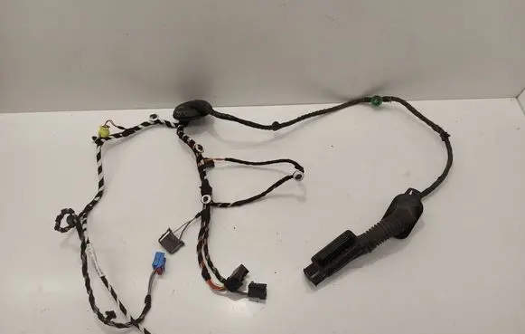 Volkswagen PASSAT B8 Front door wiring loom BC4801 18561571 3G1971121H