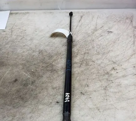 Opel Insignia B Tailgate/trunk strut/damper 39122135 4199510470N