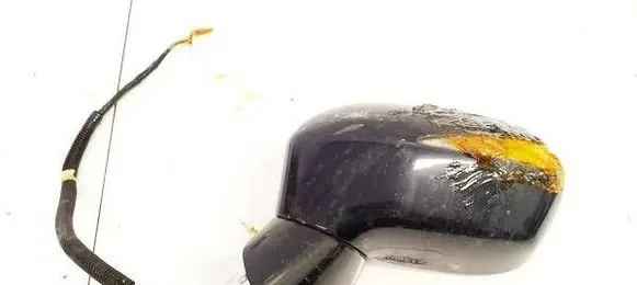 Honda Civic Front door electric wing mirror E6010029
