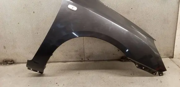 KIA Carens II Fender 