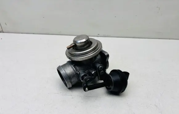 Volkswagen PASSAT B5.5 EGR valve 038131501G