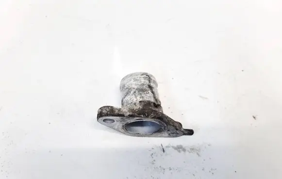 Nissan Almera Tino Engine coolant pipe/hose