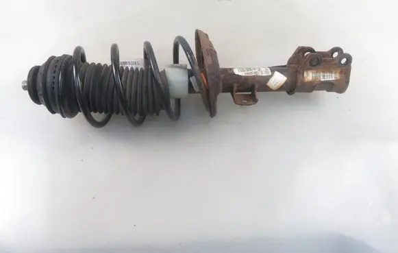 Fiat Punto (199) Front shock absorber with coil spring 