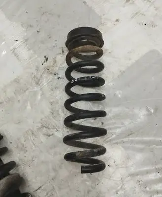 Rear coil spring