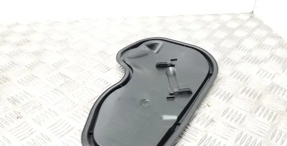 Other rear door trim element